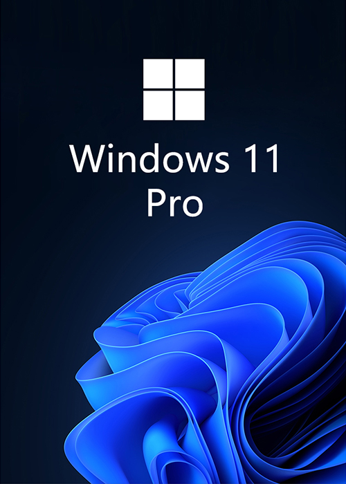 MS Windows 11 Pro OEM CD KEY Global